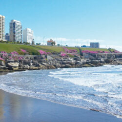 Estudiar en Mar del Plata